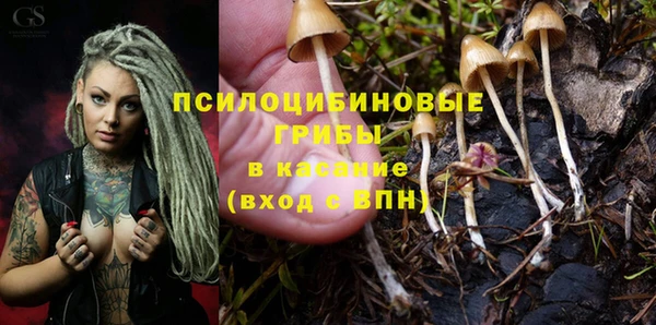прущая мука Абаза