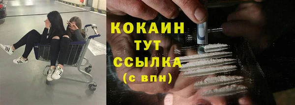стаф Абинск