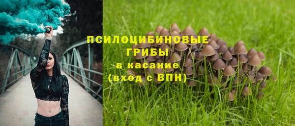стаф Абинск