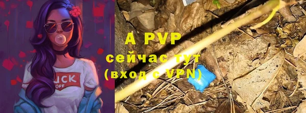 стаф Абинск