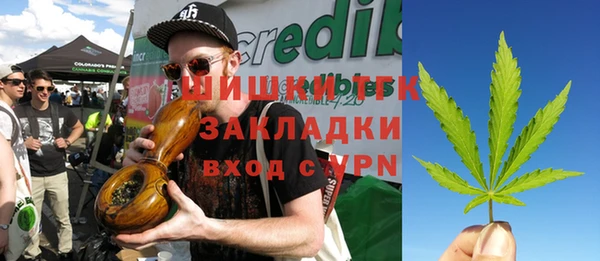 стаф Абинск