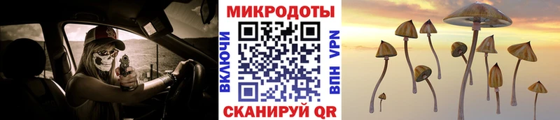Галлюциногенные грибы прущие грибы  Алдан 