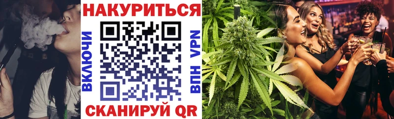 Конопля сатива  Алдан 